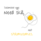 No Shit Shirts - Bauchtasche: Scrambled eggs need skill, not chromosomes. - Bauchtaschen - basic