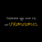 No Shit Shirts - Bucket Hat (Text only): Scrambled eggs need skill, not chromosomes. - Bucket Hat - basic