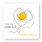 No Shit Shirts - Sticker: Scrambled eggs need skill, not chromosomes. - Gender Roles - basic