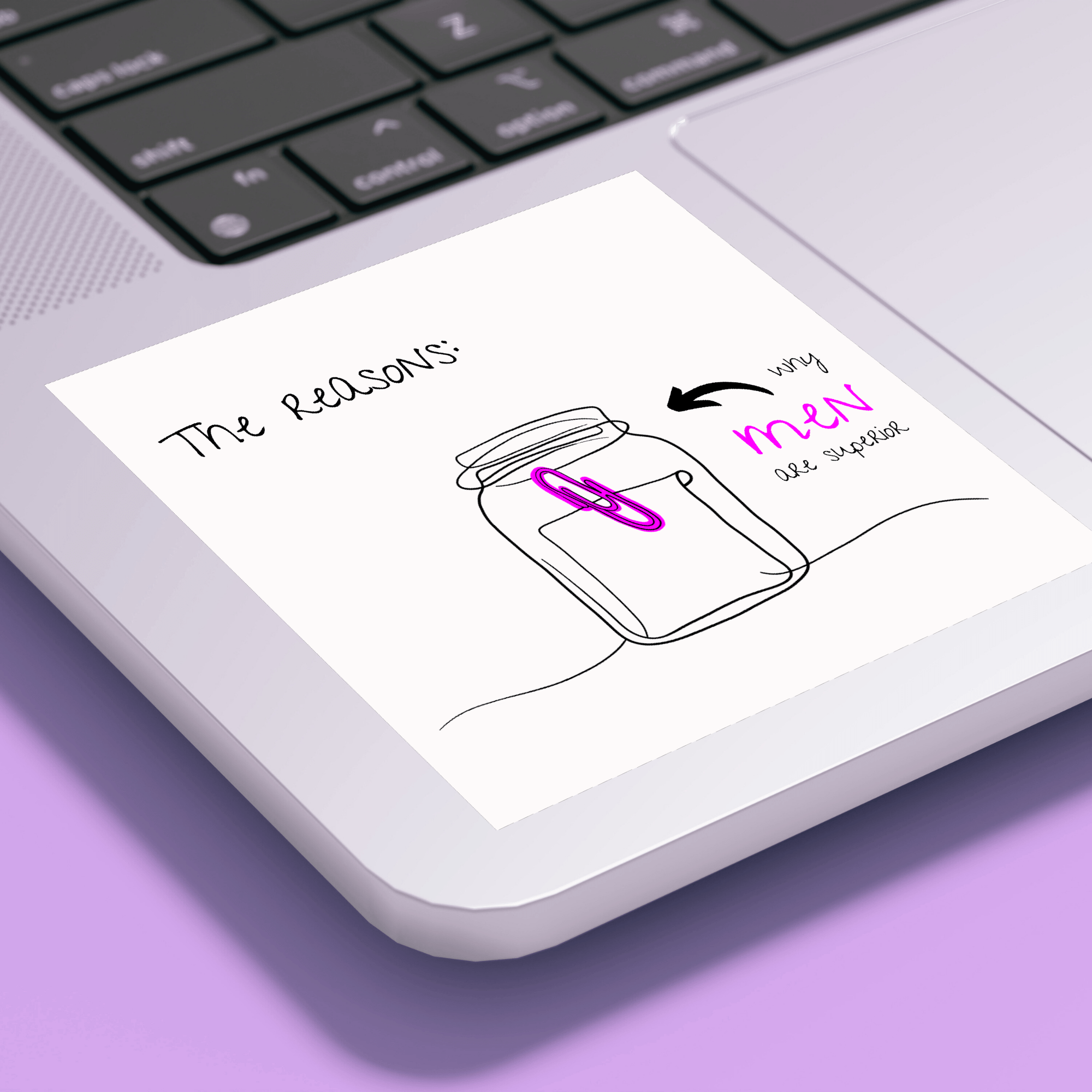 No Shit Shirts - Sticker: The reasons why men are superior: - Gender Roles - basic