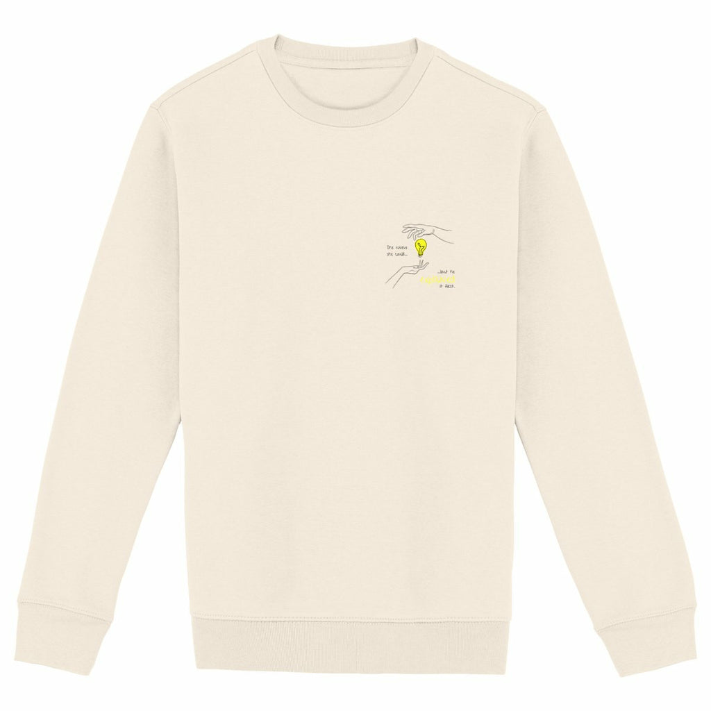 No Shit Shirts - Sweatshirt: She knew she could, but he explained it first. - Mansplaining - basic